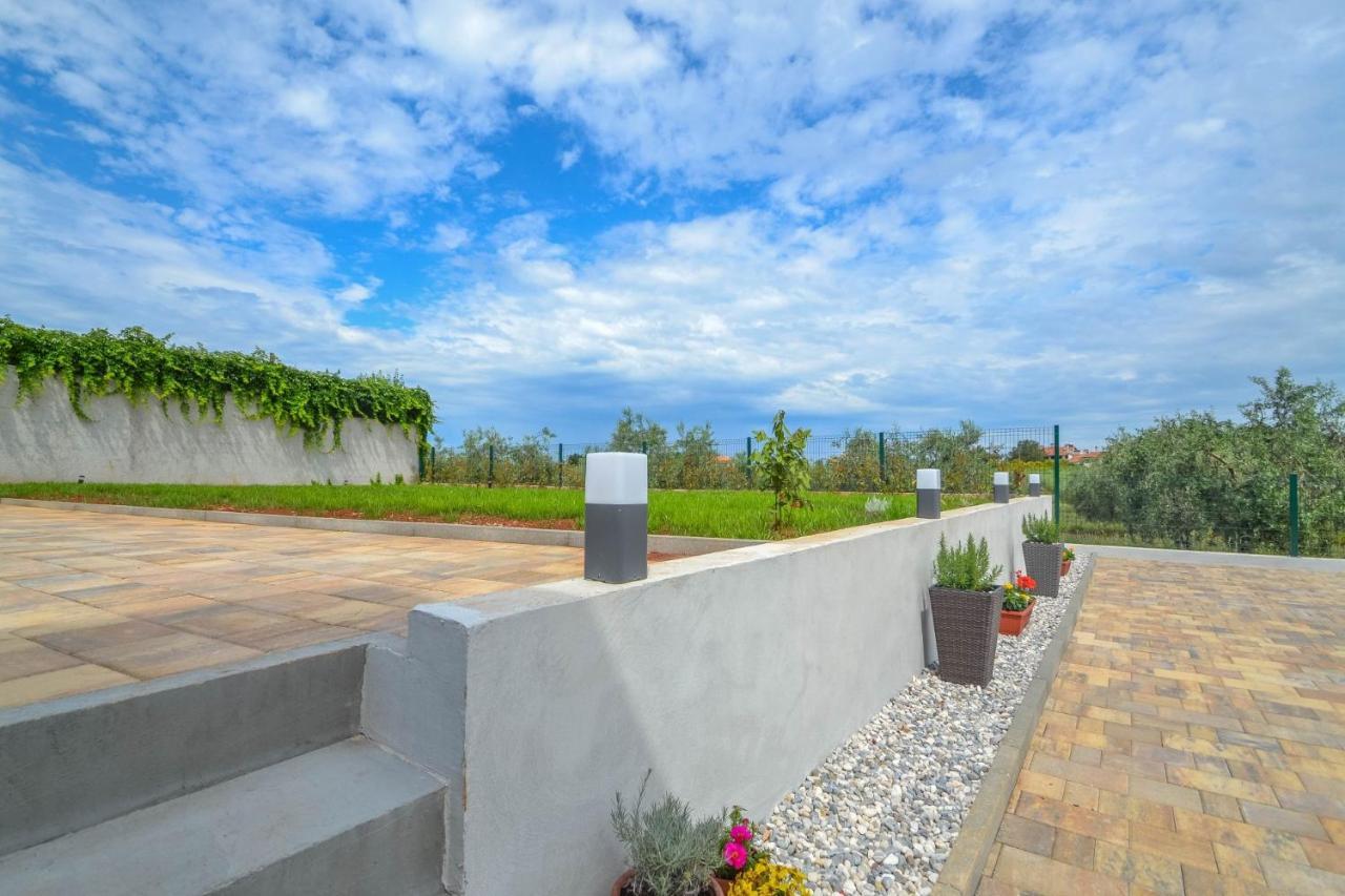 Apartment Kaplja Novigrad Istria エクステリア 写真