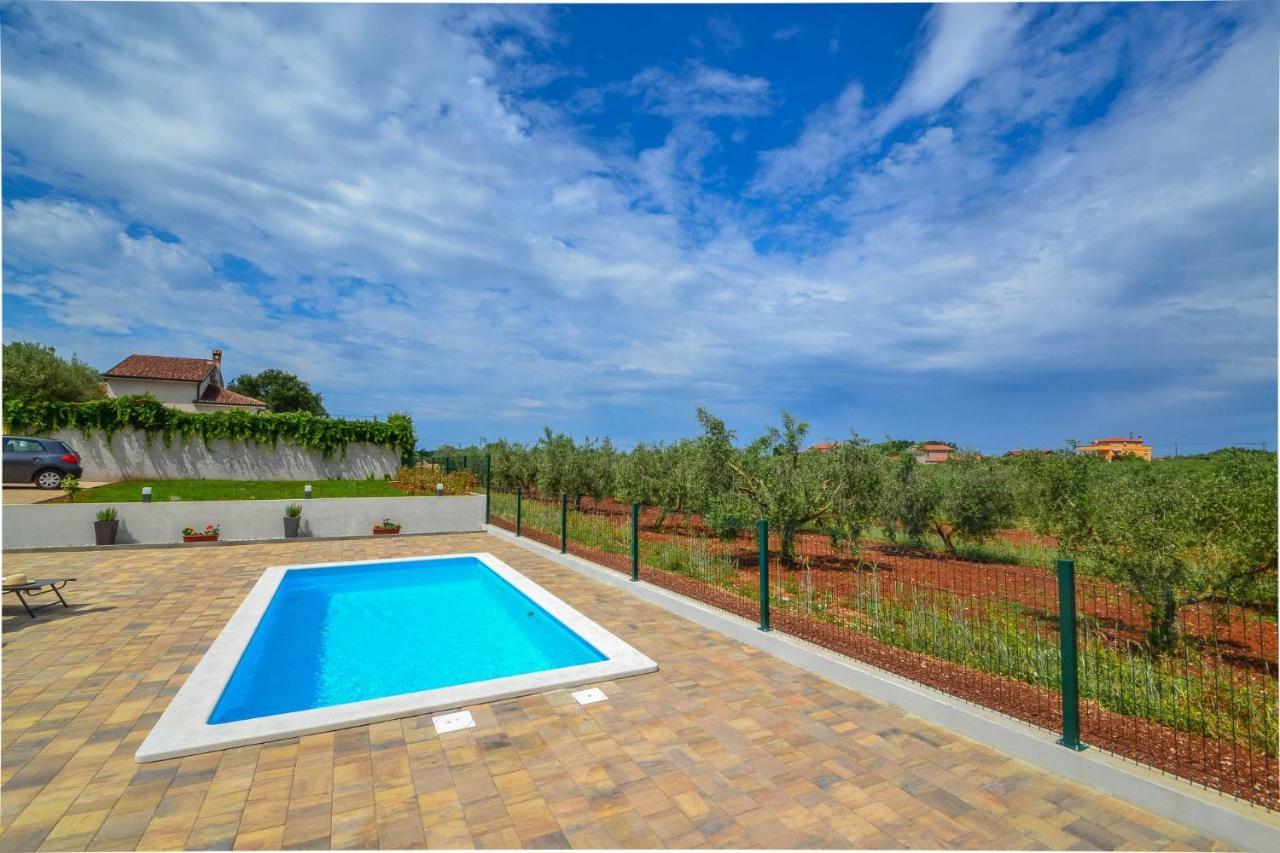 Apartment Kaplja Novigrad Istria エクステリア 写真