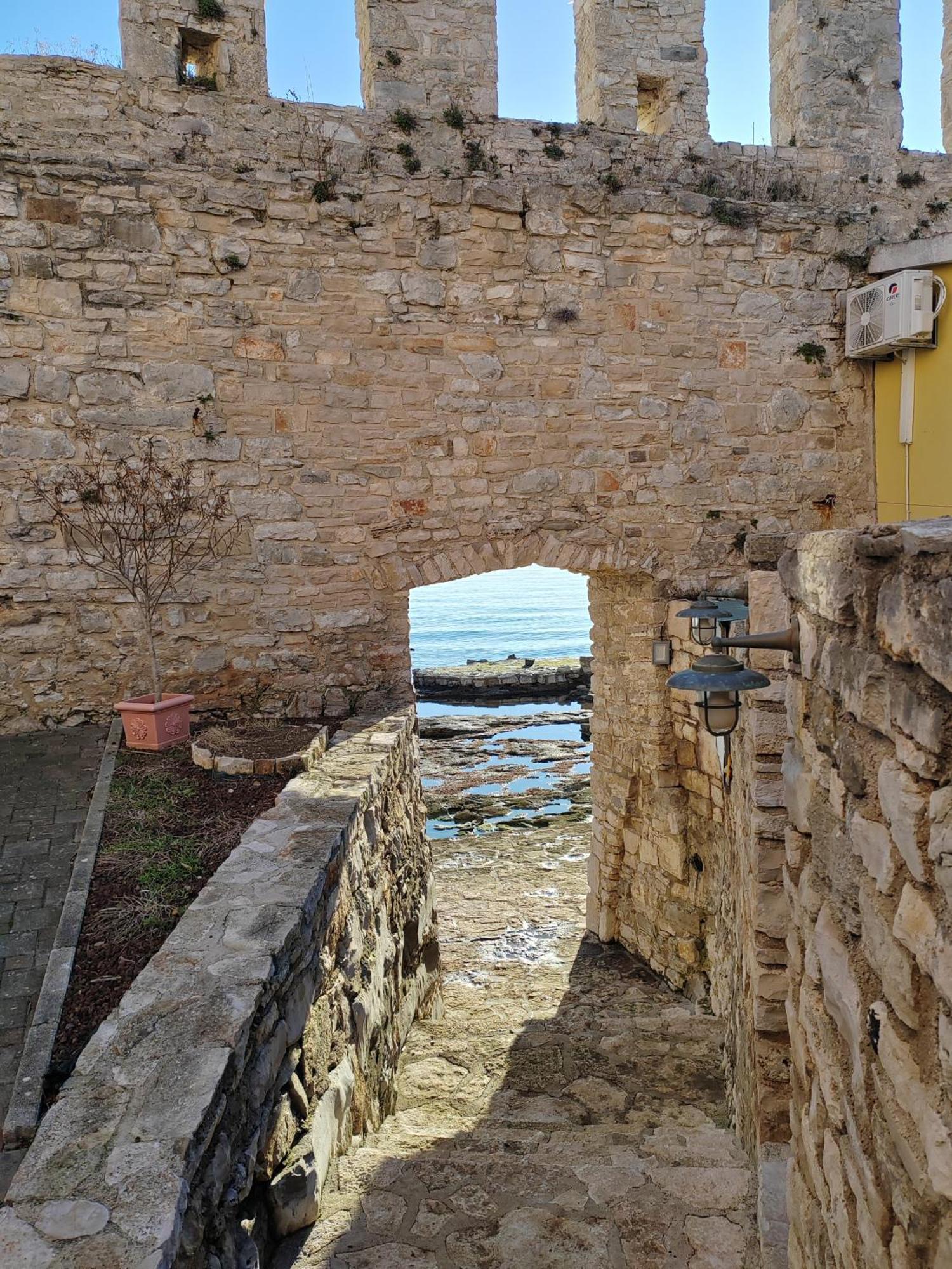 Apartment Kaplja Novigrad Istria エクステリア 写真